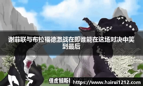 谢菲联与布拉福德激战在即谁能在这场对决中笑到最后